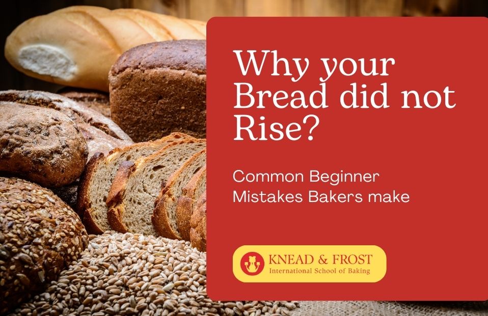Why your Bread did not Rise – Common Beginner Mistakes Bakers make