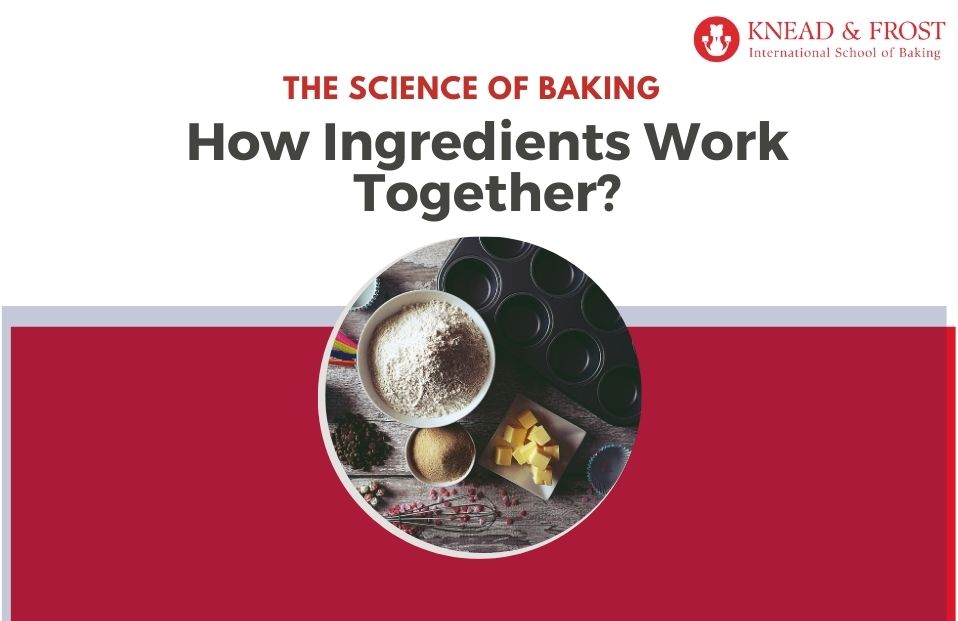 The Science of Baking – How Ingredients Work Together?